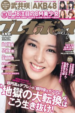 电视剧花木兰传奇全集